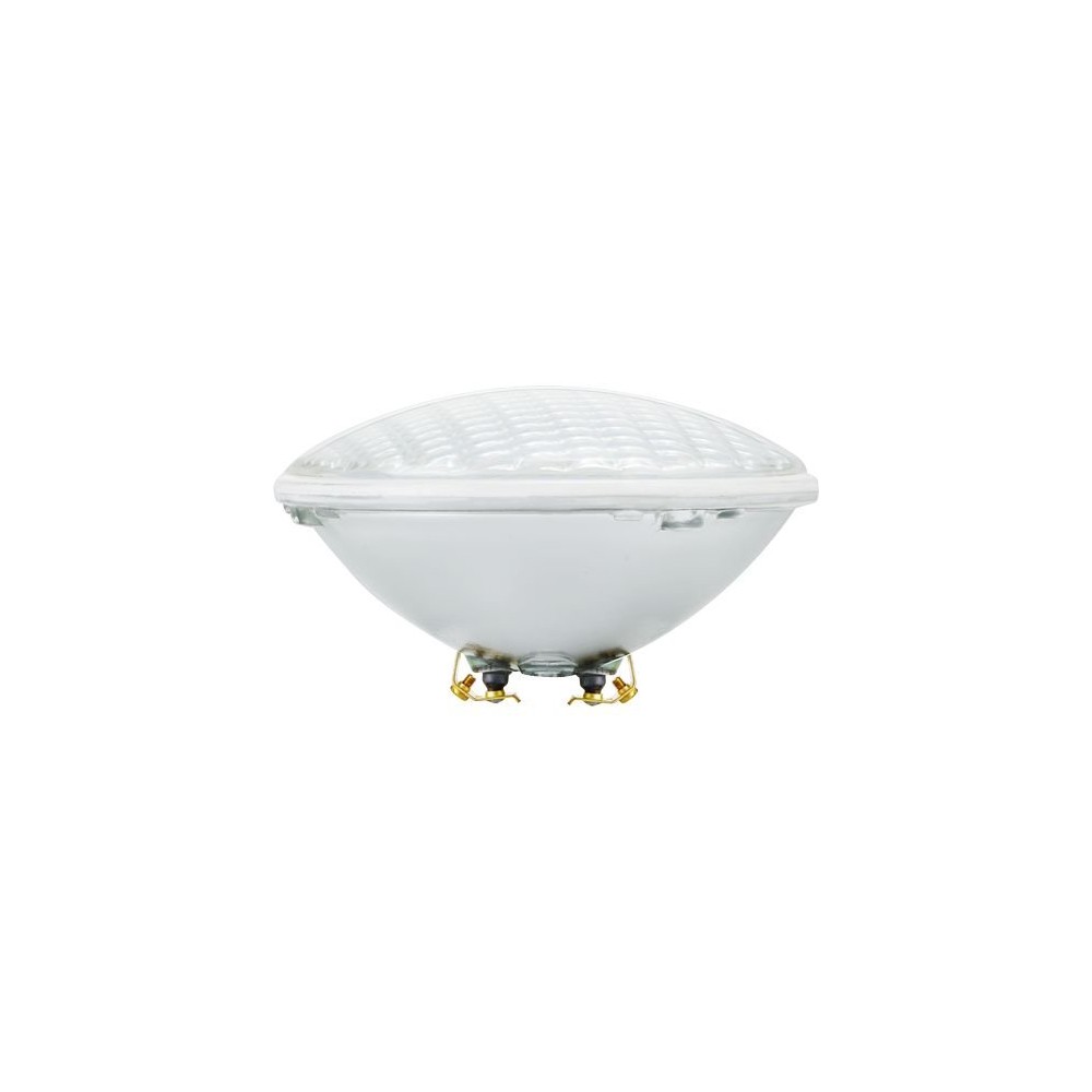 20w Par56 Led Swimmingpool Pære  12v 2000lm  6500k  Koldt Hvidt Lys  Skrueterminal  Klar Glas Kulør : Kold